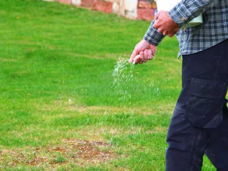 Kvalitetno gnojivo za travu za kvalitetu travnjaka